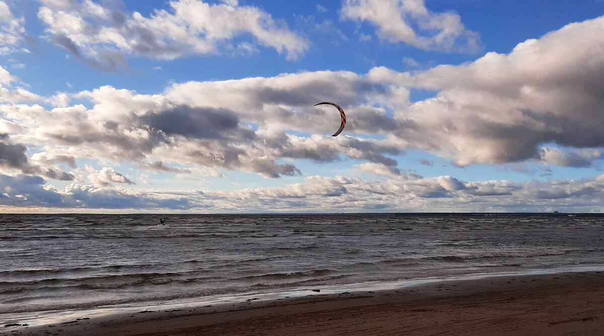 Сестрорецкий курорт. Сентябрь - Наталья Герасимова