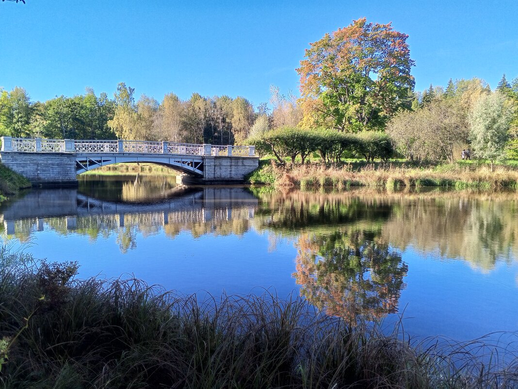 Осень - Сапсан 
