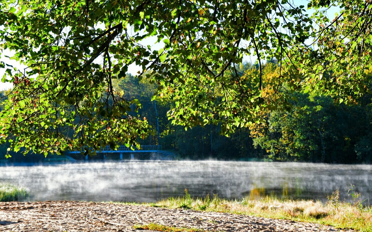 Сентябрьское утро с туманом над водой (репортаж из поездок по области). - Милешкин Владимир Алексеевич Сентябрьское утро с туманом над водой (репортаж из поездок по области). - Милешкин Владимир Алексеевич