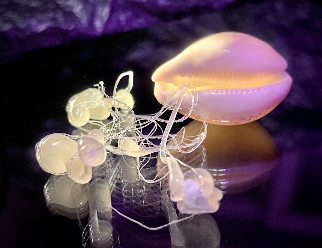 Пришельцы бывают разные - Андрей Зайцев