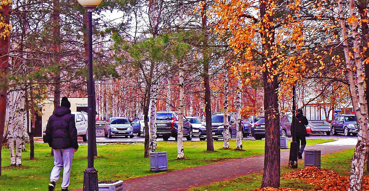 Осеннеде утро в сквере Победы! - Владимир 