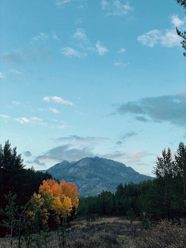 В горах - Георгиевич 