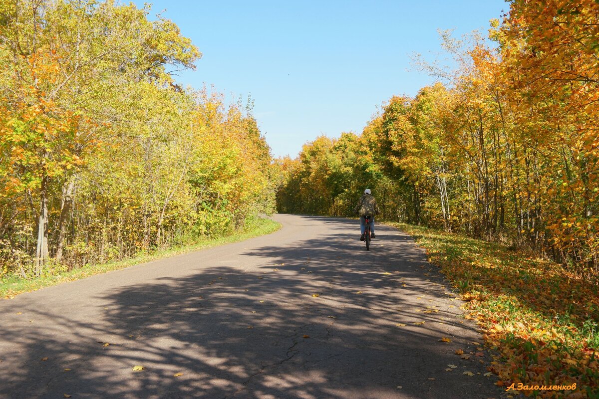 По дорогам осени... - Андрей Заломленков По дорогам осени... - Андрей Заломленков