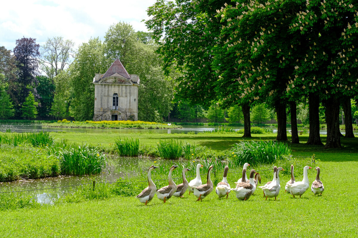 В парке замка Анси-ле-Фран - Георгий А