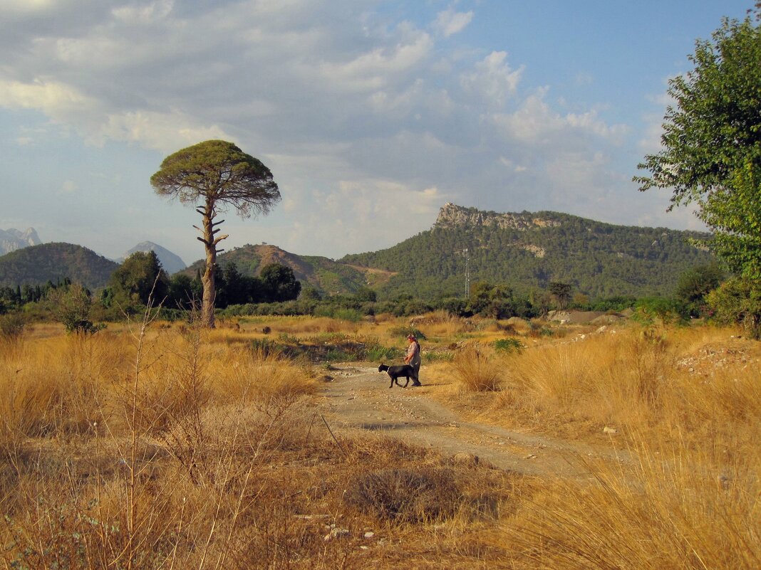 Полуостров Малая Азия - Gen Vel