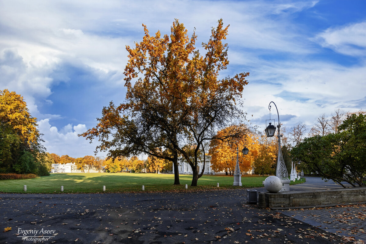 Художник по имени Осень - Евгений 