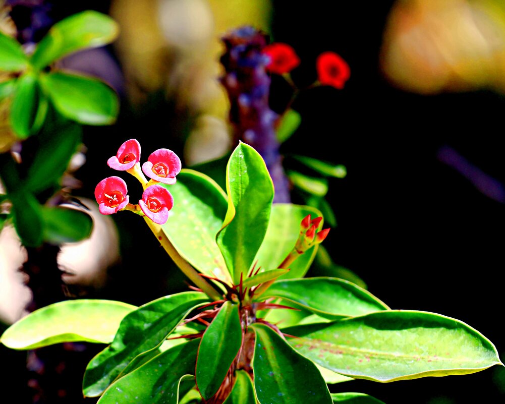 Этюд - Аркадий Басович
