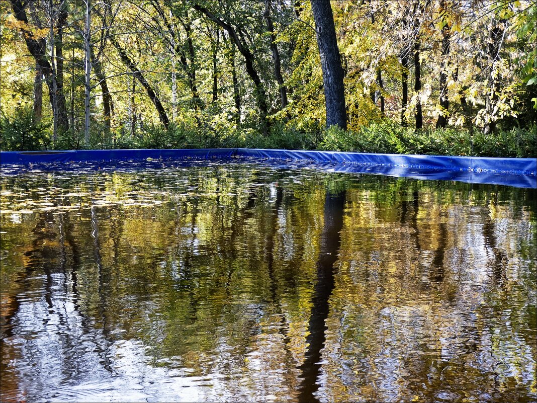Осеннее отражение - Валентина *