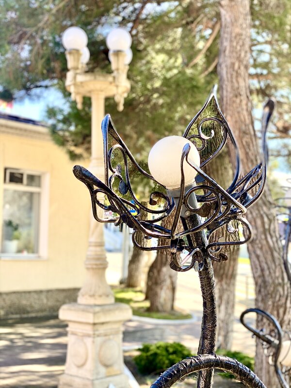 Уличный фонарь . - Alexey YakovLev