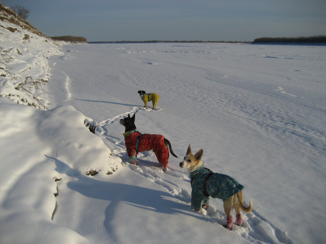 Прогулки - Anna Ivanova