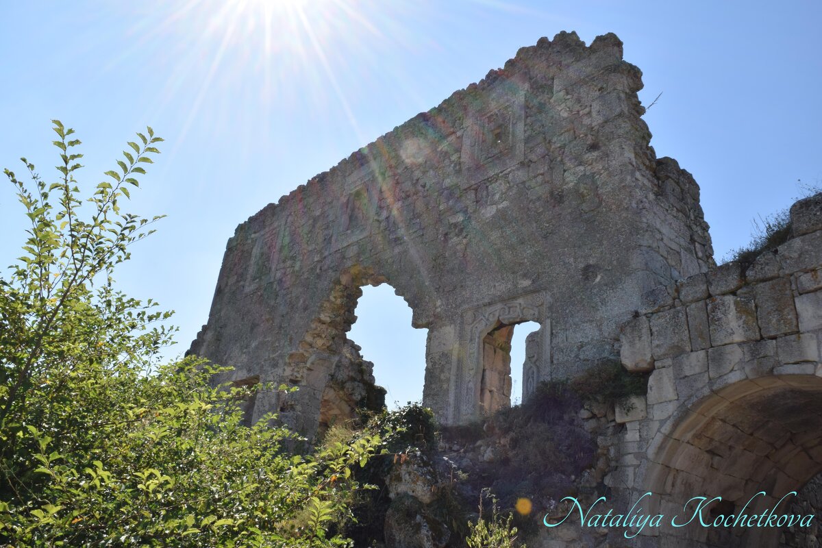 Природа Крыма - Amazing Cosmea