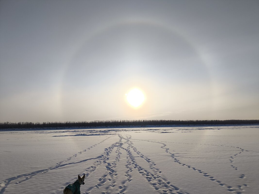 Гало - Anna Ivanova