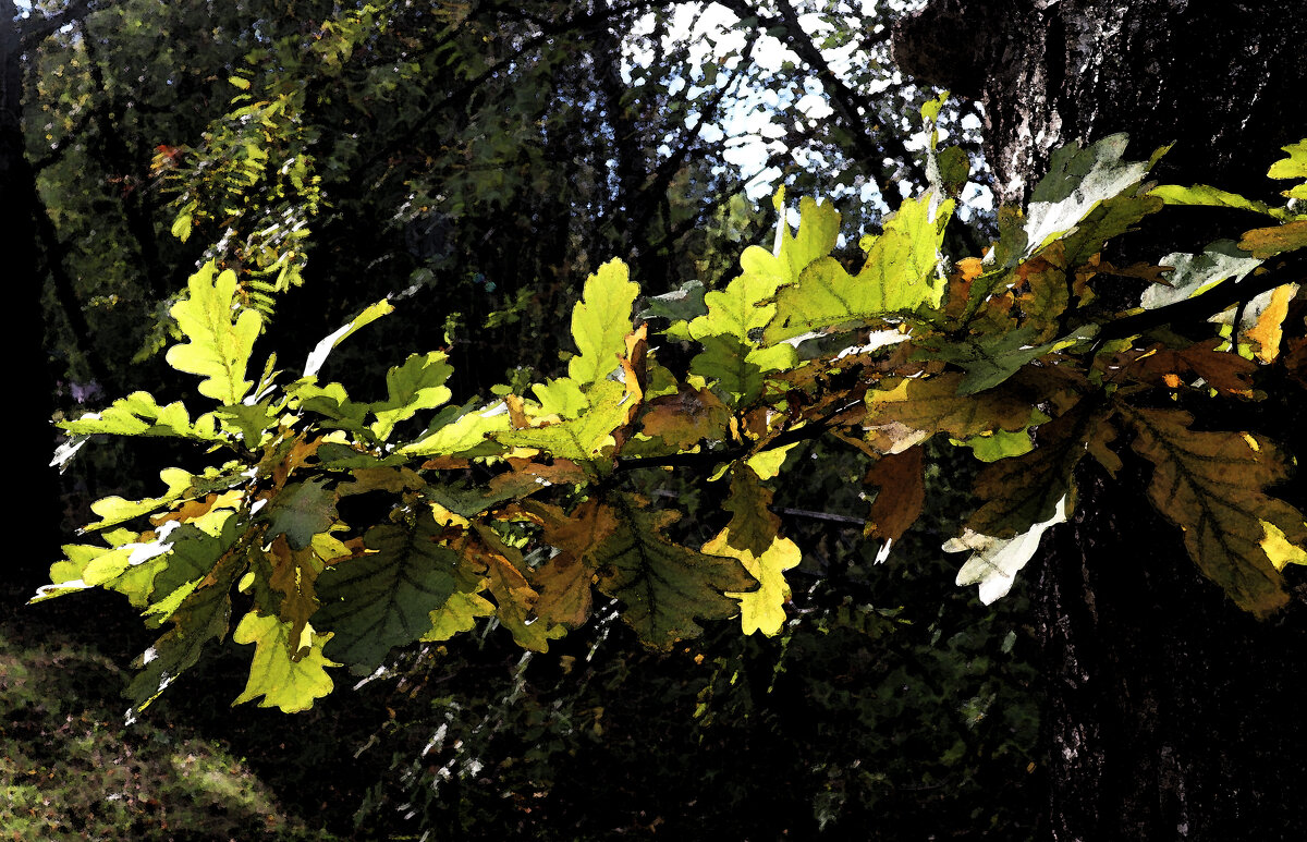 Осень пробует кисть. - Наталья Лунева 