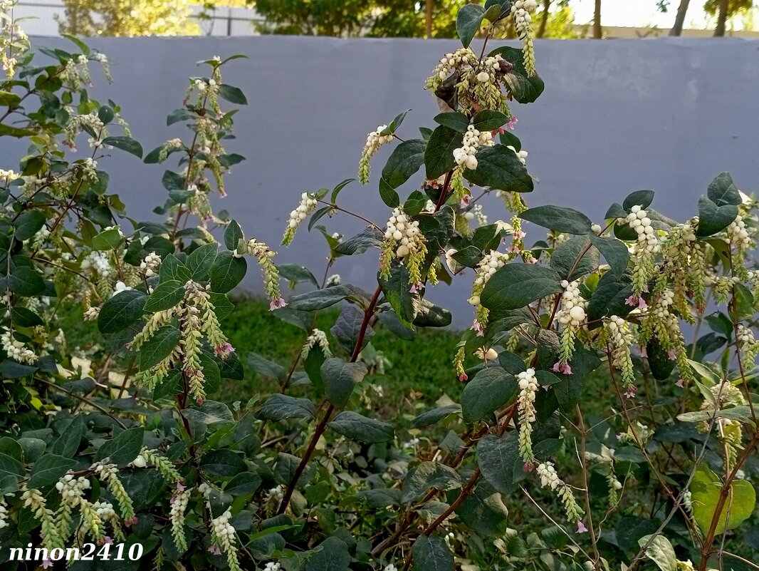 В ростовском экопарке Первая миля - Нина Бутко