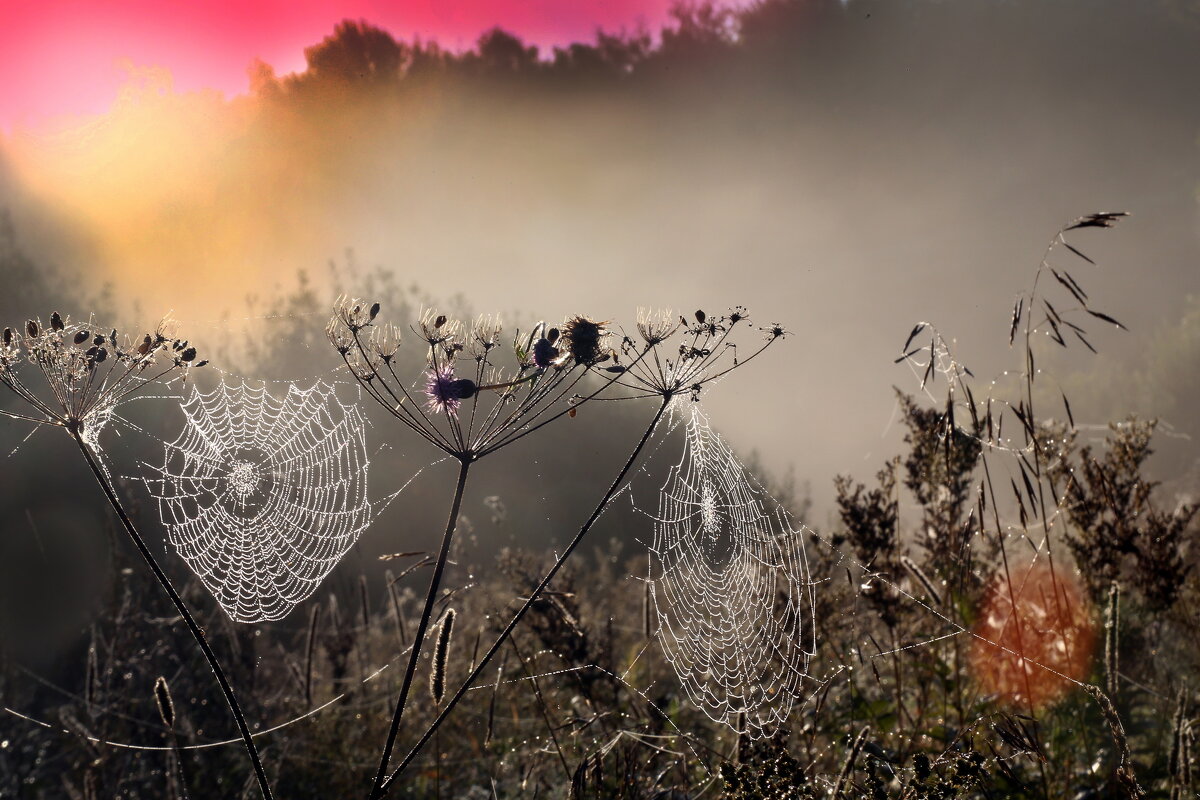 Царицыно 10 сентября - Михаил Бибичков Царицыно 10 сентября - Михаил Бибичков