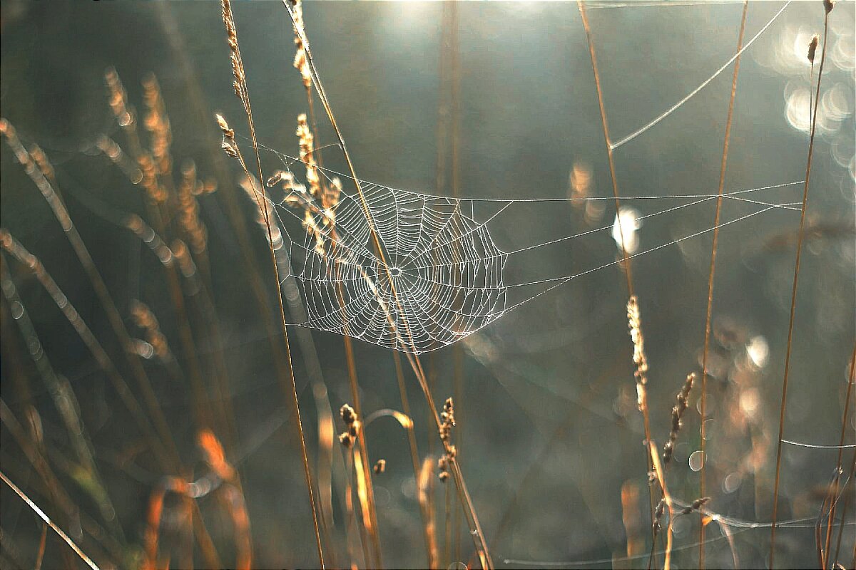 Утро - Валентина 