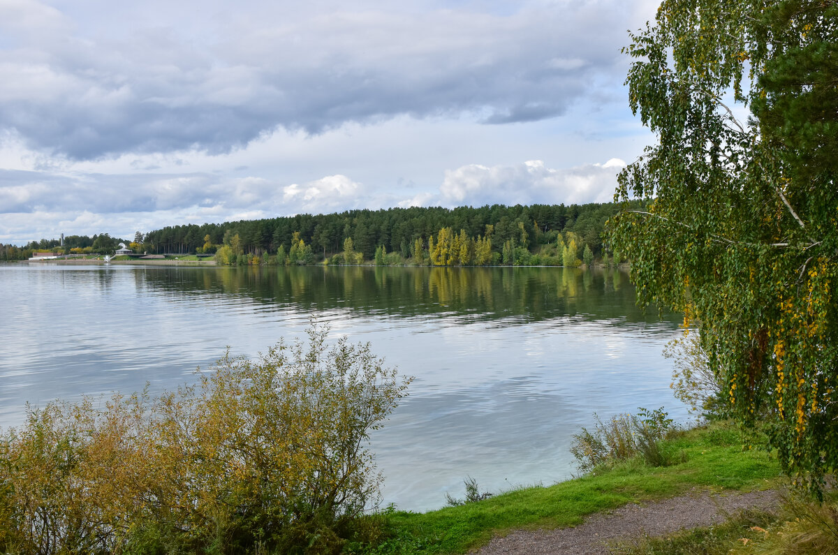 Сентябрь 2025 - Владимир Звягин