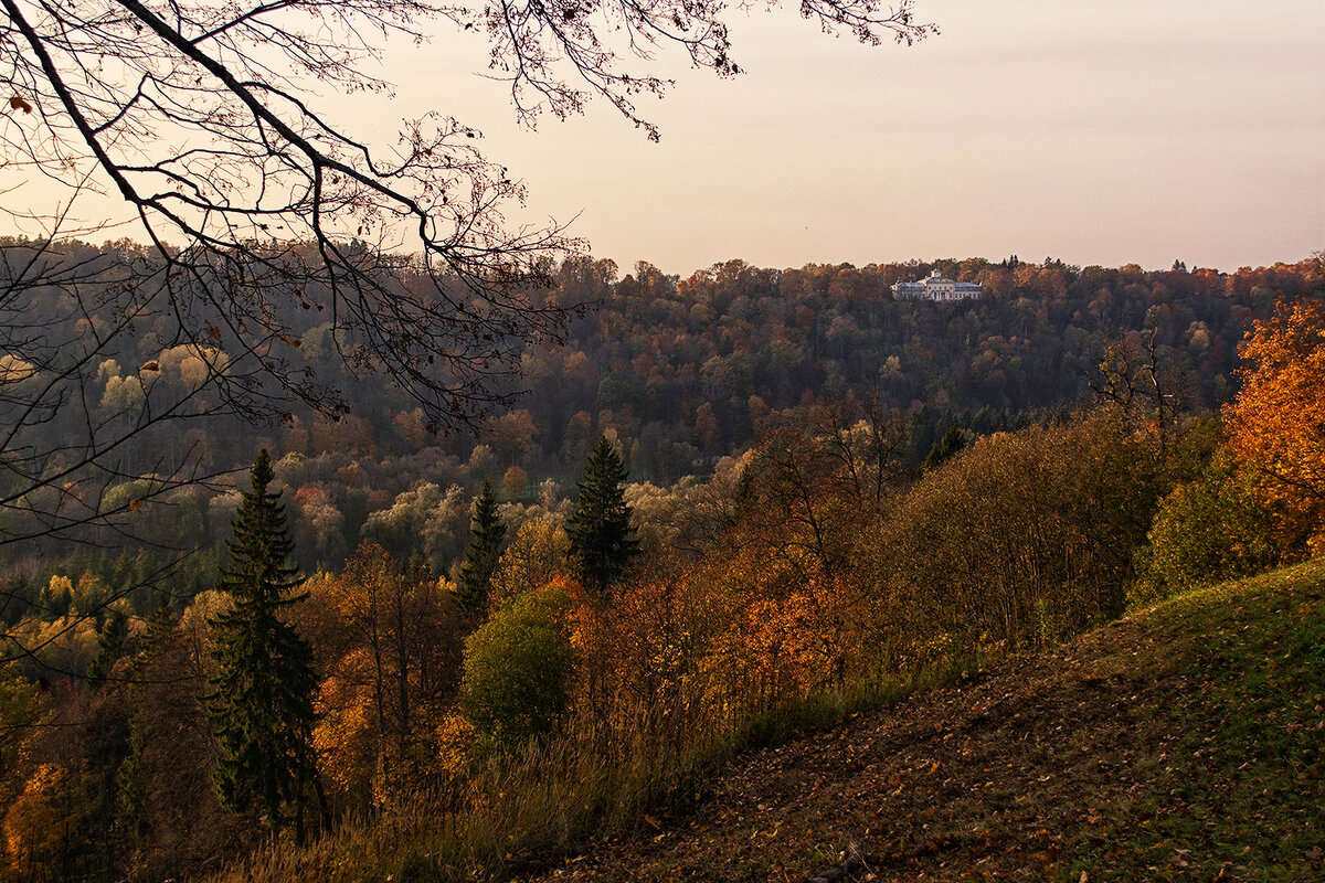 Утонувший в осени - Регина 