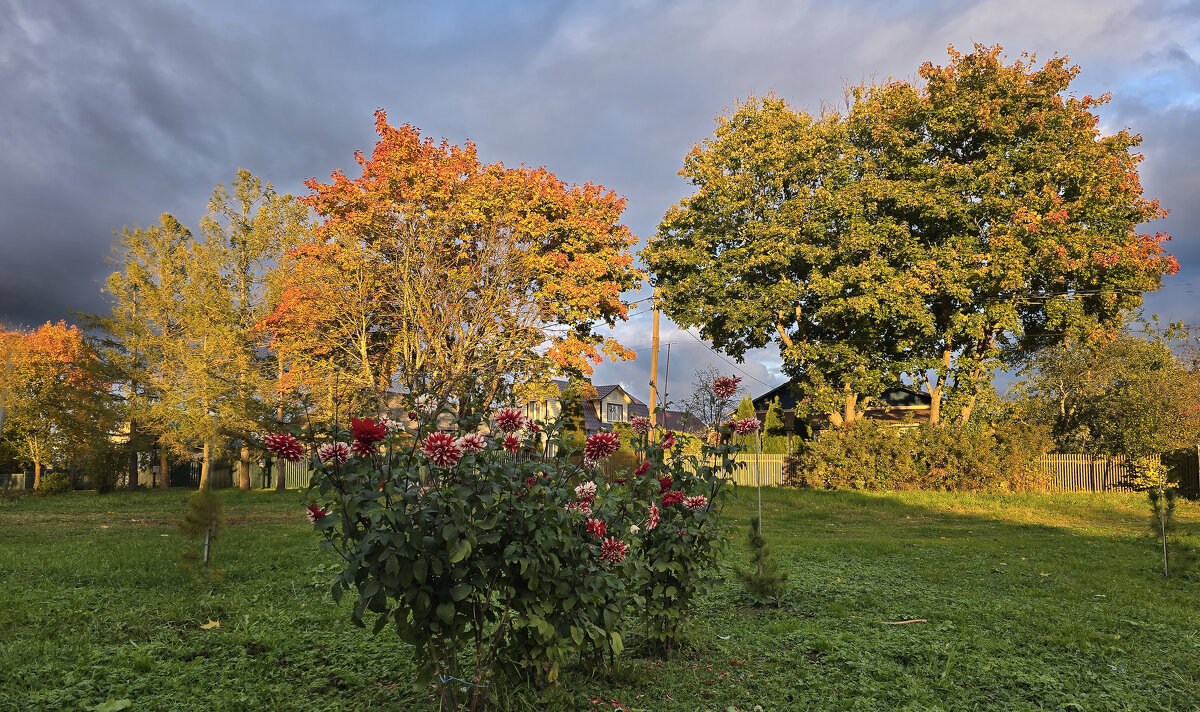 Моя деревня - Oleg S 