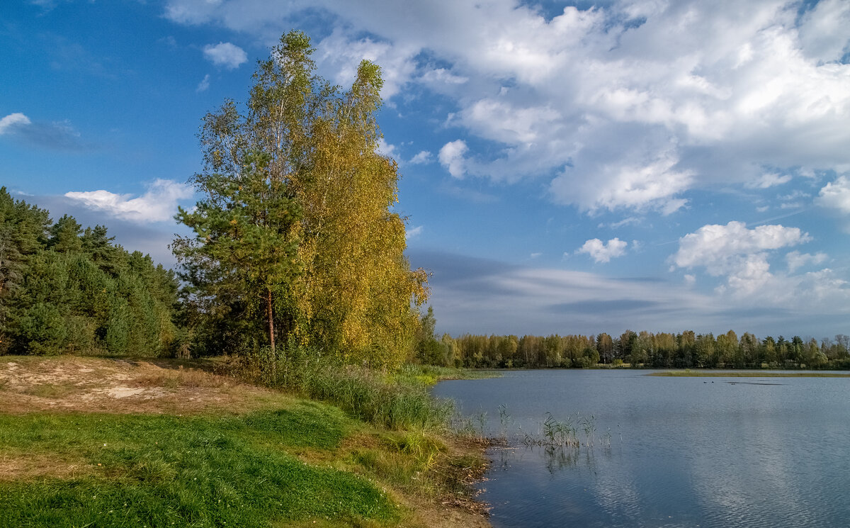 Бабье лето 4 - Андрей Дворников