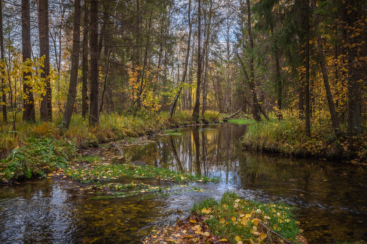 **** - Елизавета .