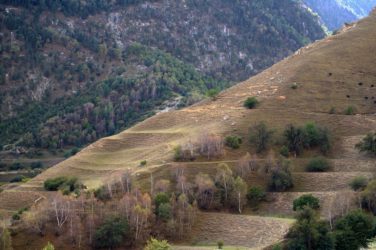 Южный склон... - M Marikfoto