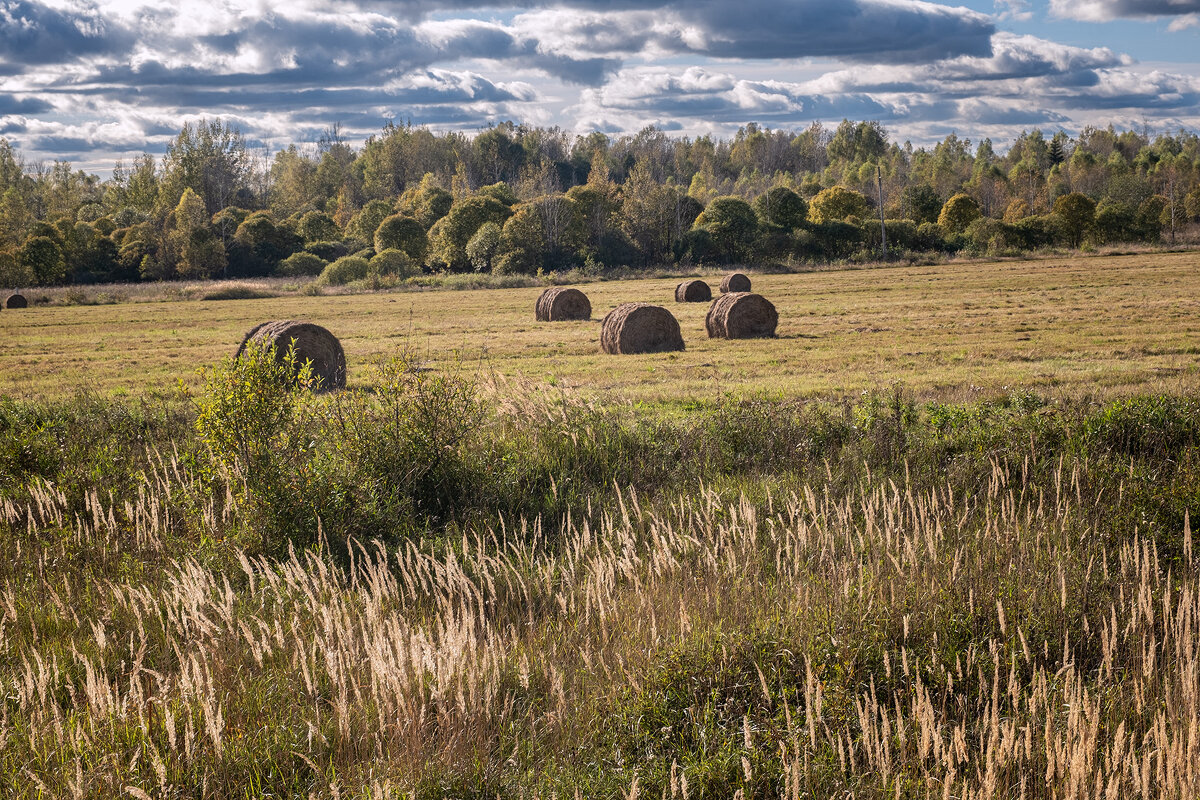 осенний пейзаж - Galina 