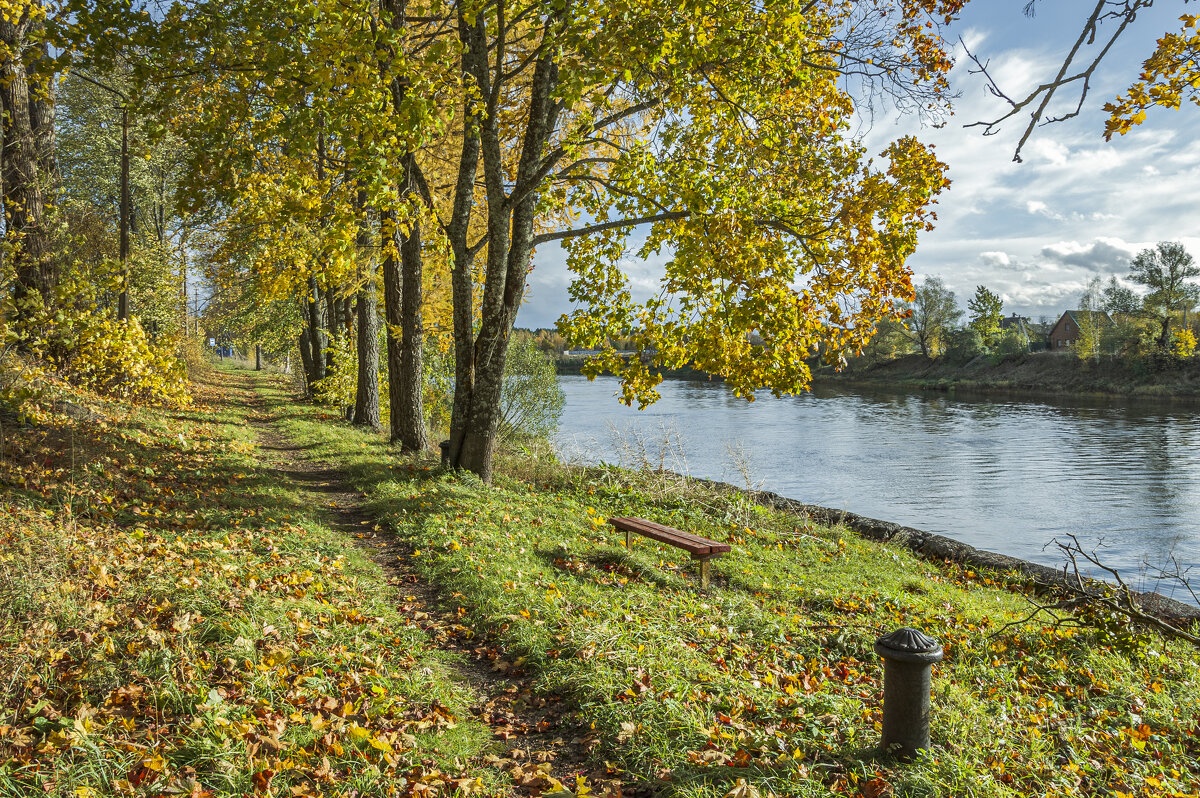 Золото Опеченского Посада(село) - Александр Филатов