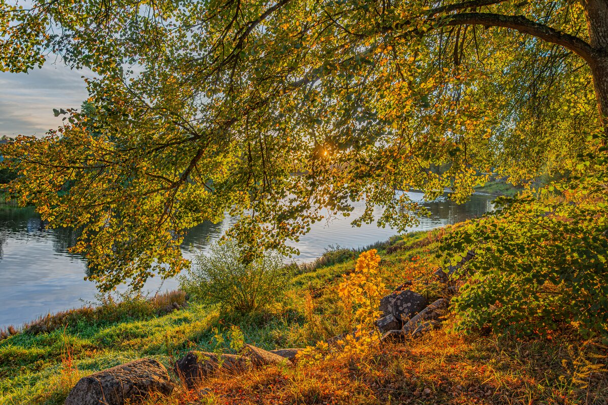 Золото Опеченского Посада(село) - Александр Филатов