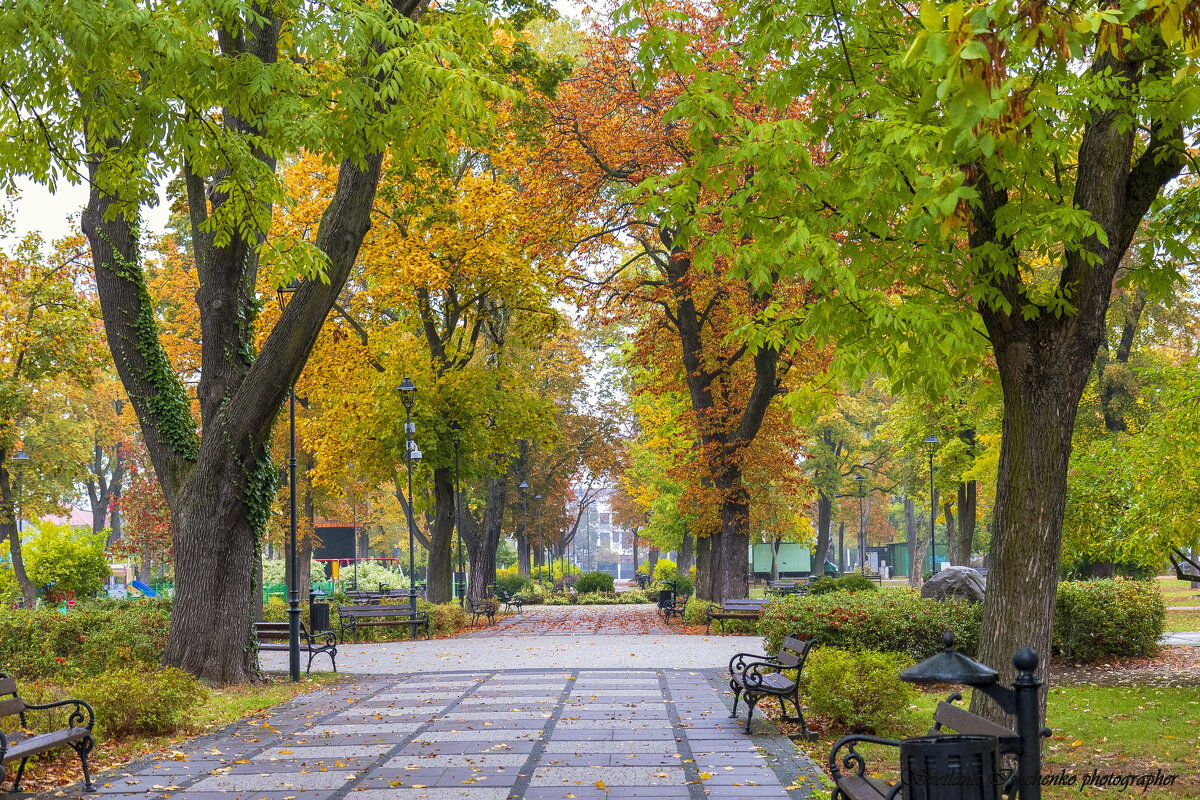 Новы Двор Мазовецки - Светлана Ищенко