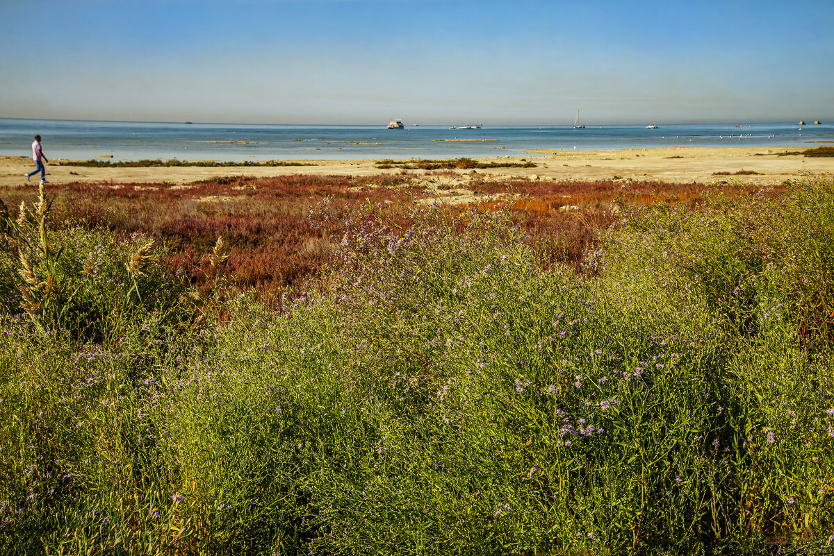 Каспийский берег - Анатолий Чикчирный Каспийский берег - Анатолий Чикчирный