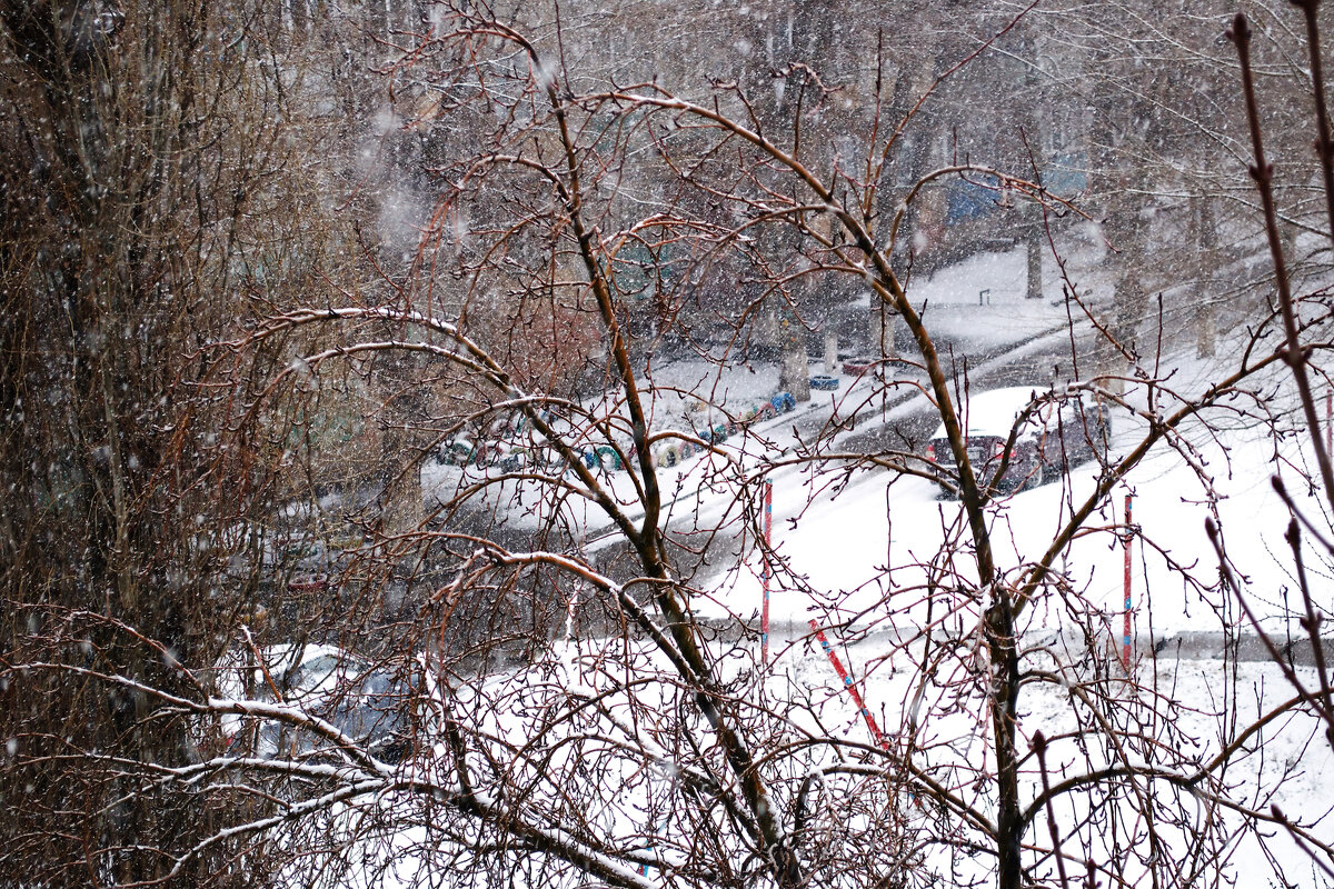 мартовский снегопад с мокрым снегом - Александр Лычагин мартовский снегопад с мокрым снегом - Александр Лычагин