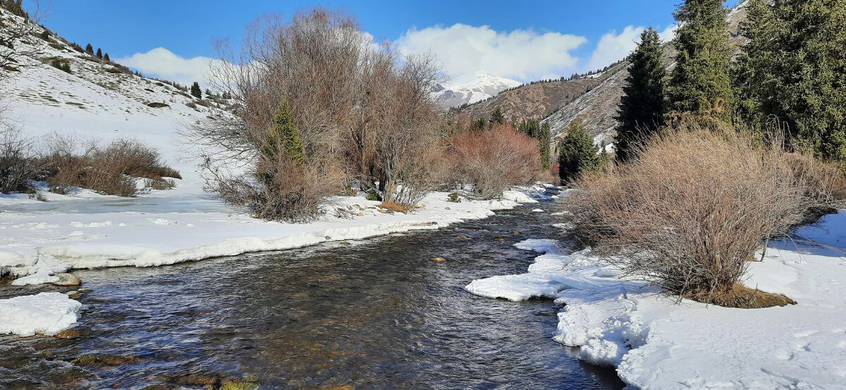 На горной речке.. - Ирина С