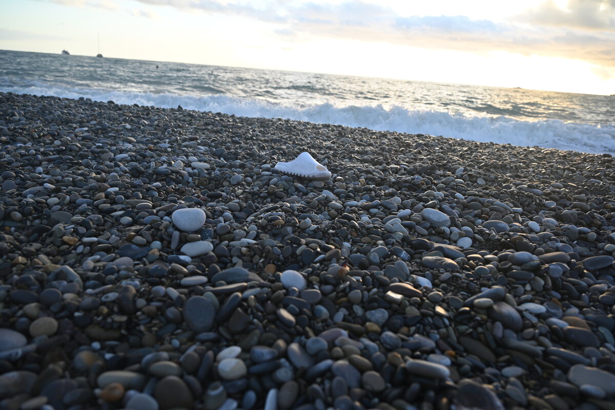 Чей туфля) - Митяй Митрич