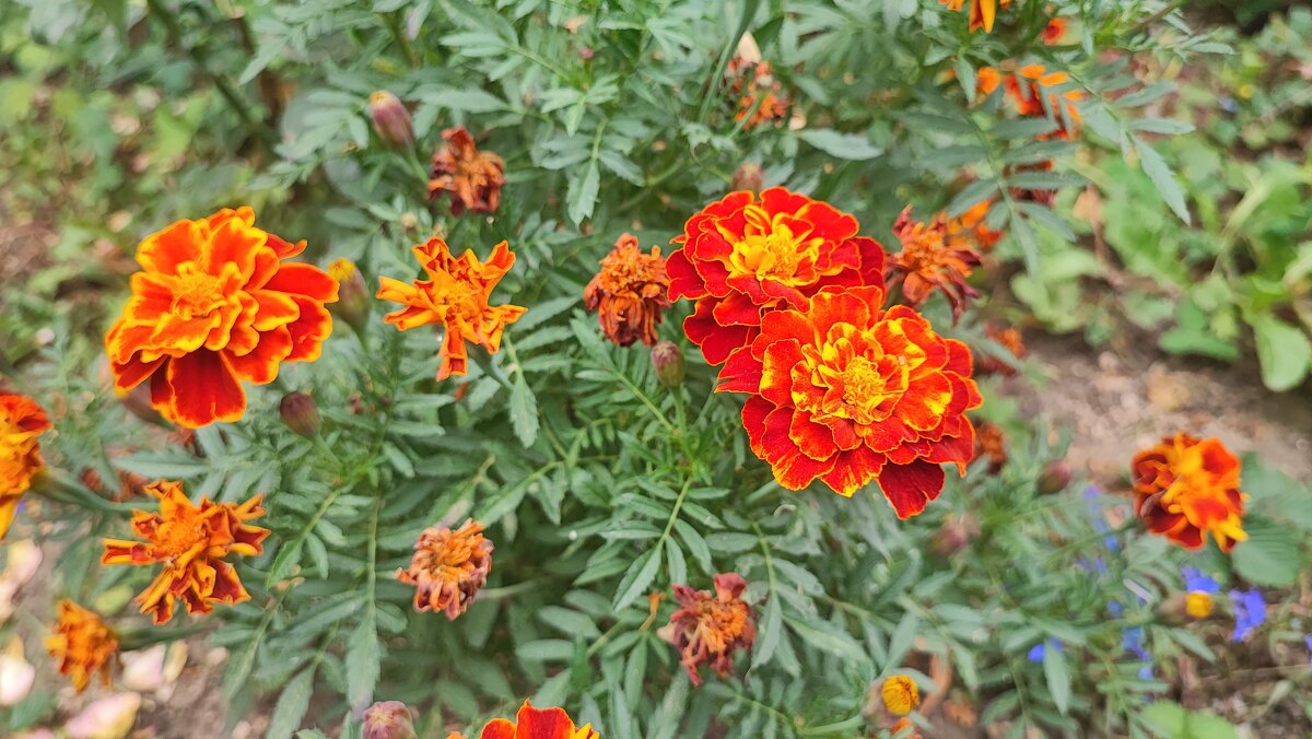 ,,, - Сергей Тимоновский ,,, - Сергей Тимоновский