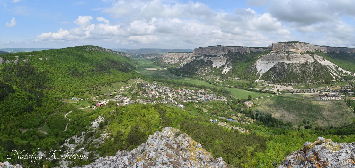 Природа Крыма - Amazing Cosmea