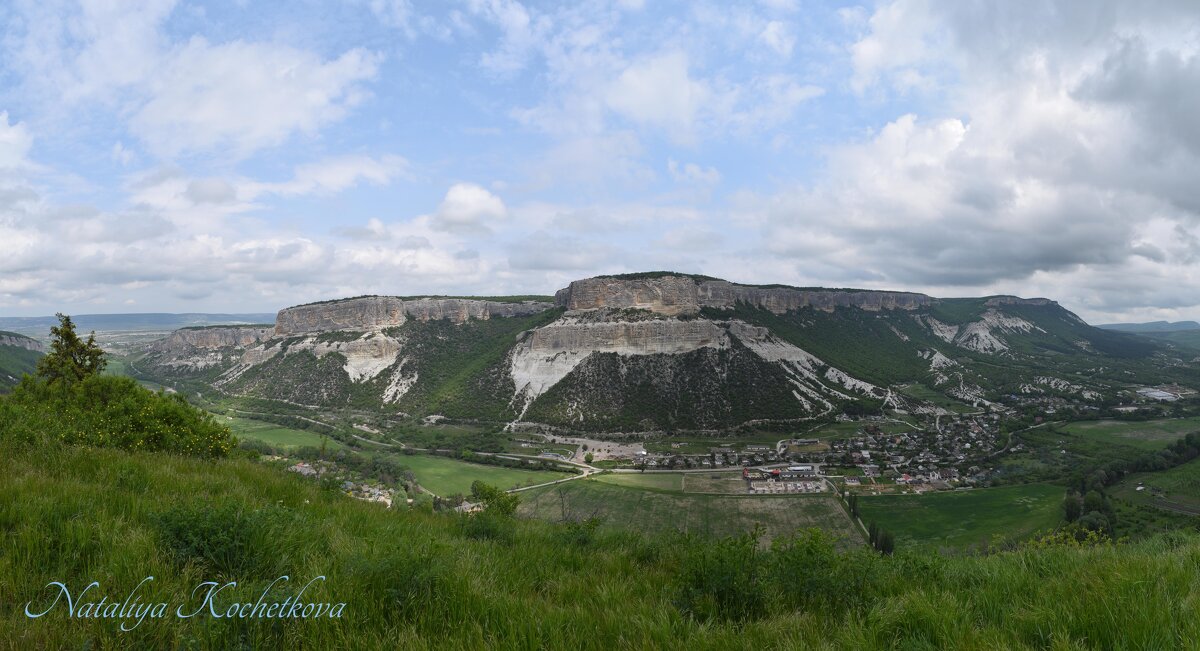 Природа Крыма - Amazing Cosmea