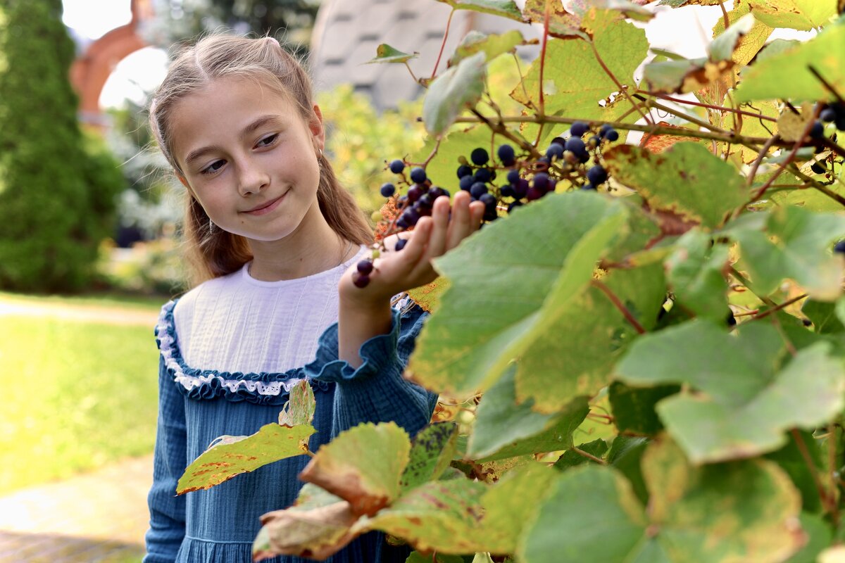 Ягоды) - Натали Королева