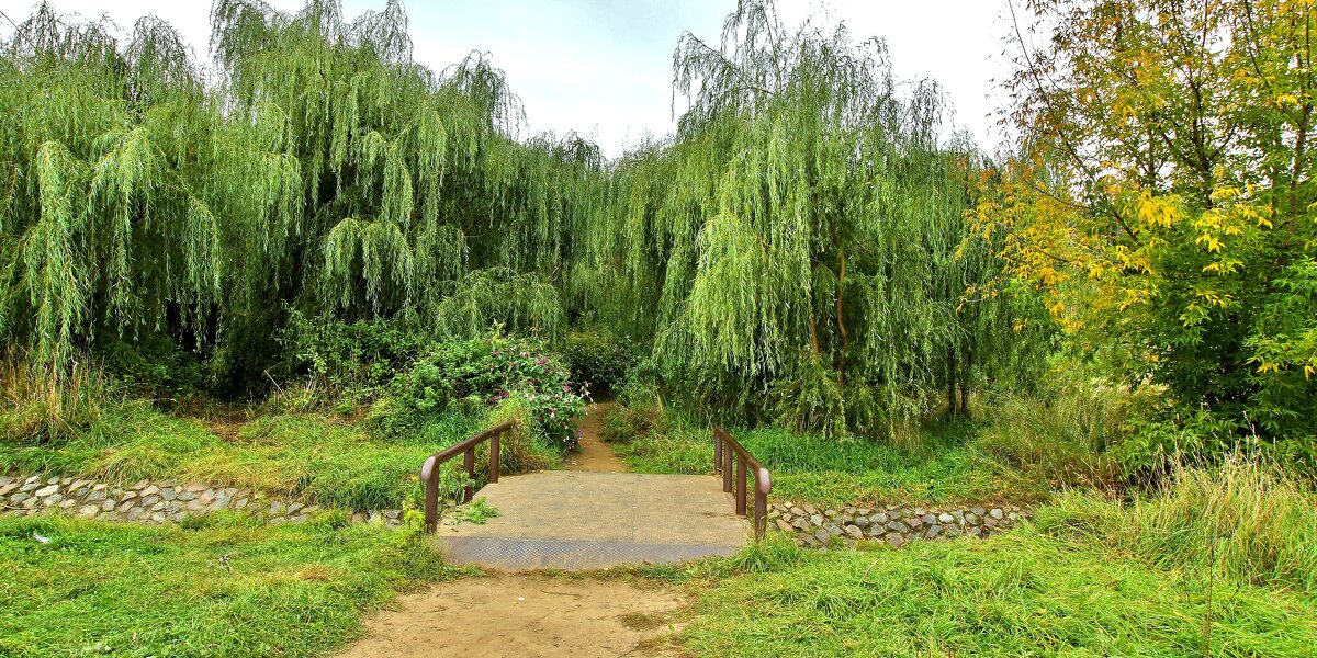 КОЛОМЕНСКОЕ - АЛЕКСАНДР 