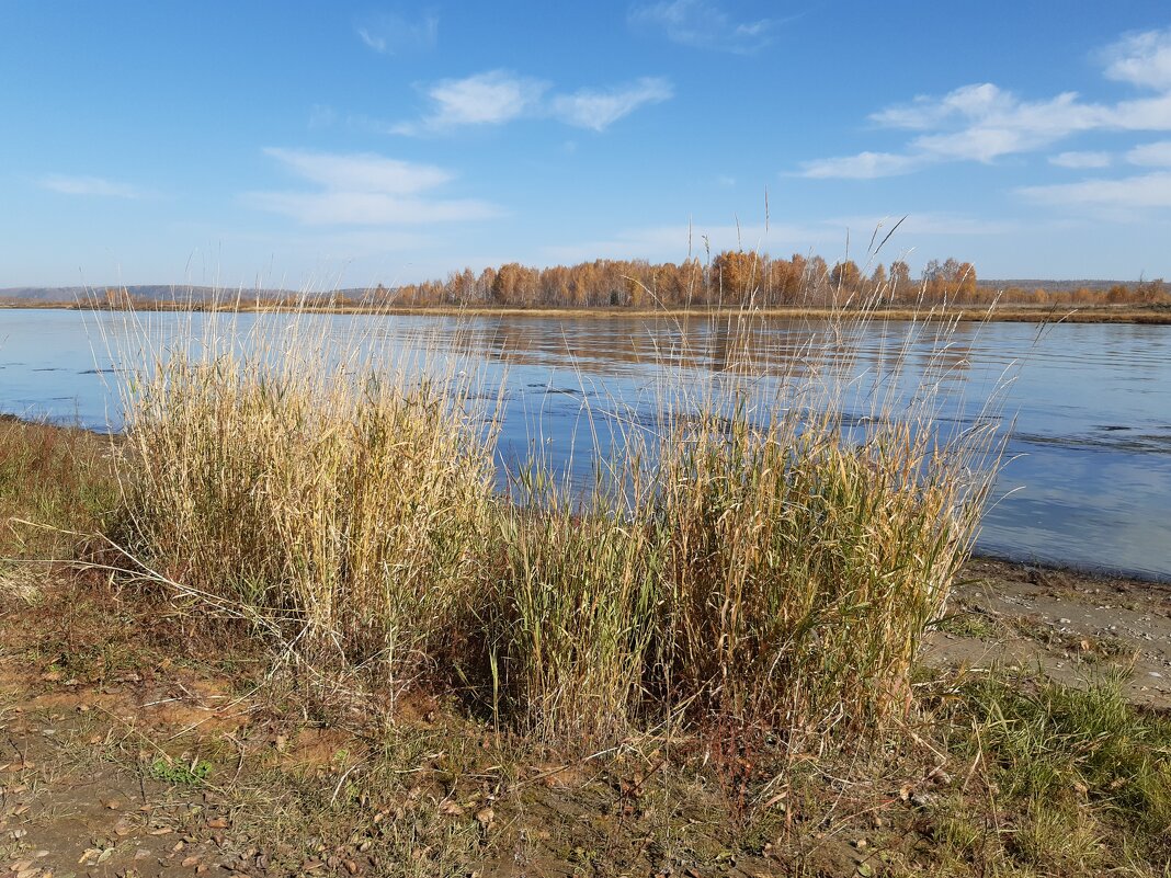 На Ангаре - Галина Минчук