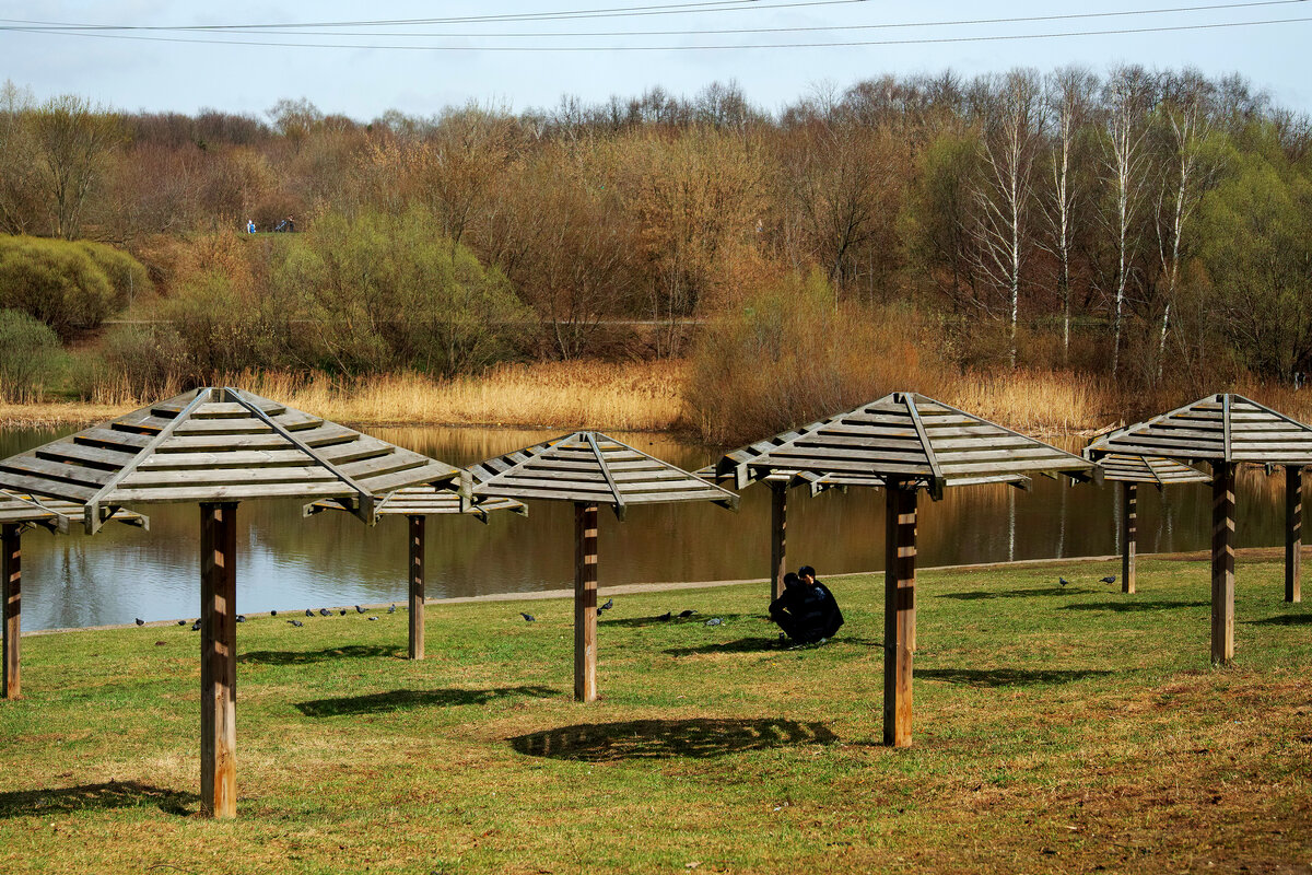 Люблинский пруд - Игорь Белоногов