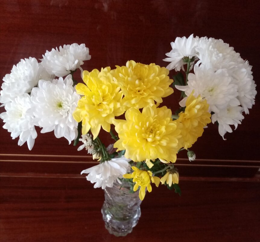 Осенняя пора - время хризантем - Татьяна Р 