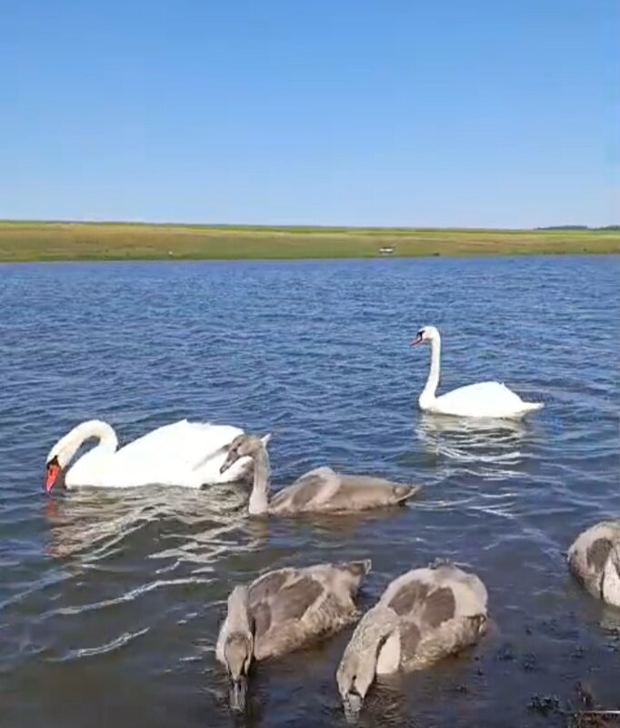 А за городом... - Венера Чуйкова А за городом... - Венера Чуйкова