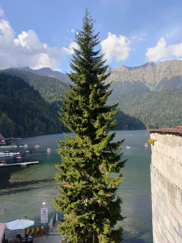 Абхазия. Озеро Рица - Ирэн 