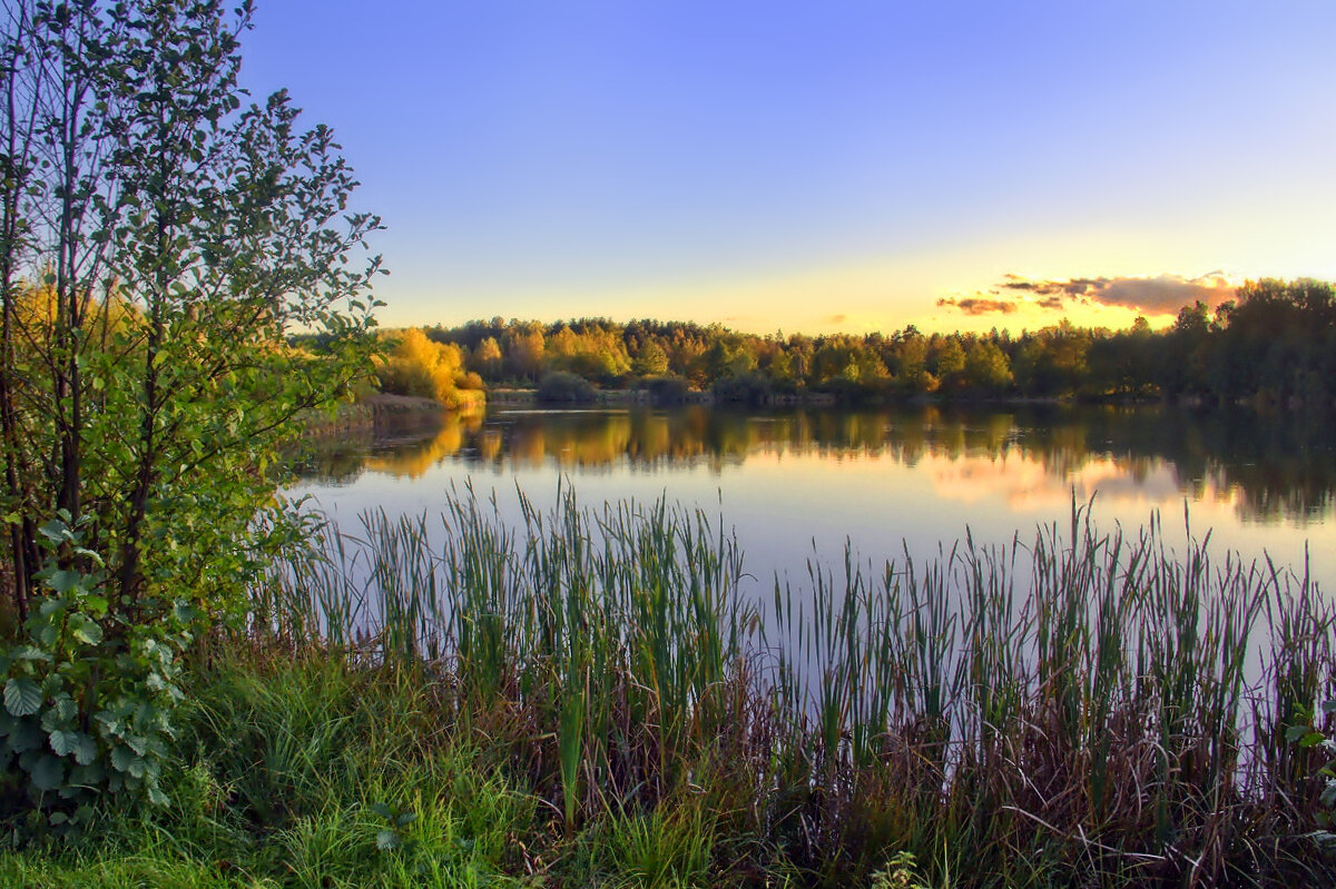 Осенняя тишина - Вячеслав Минаев