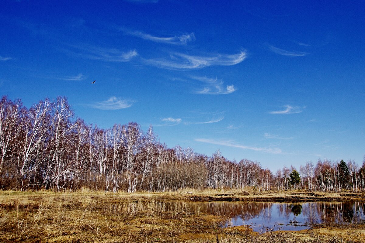 Осень - Сергей Швечков