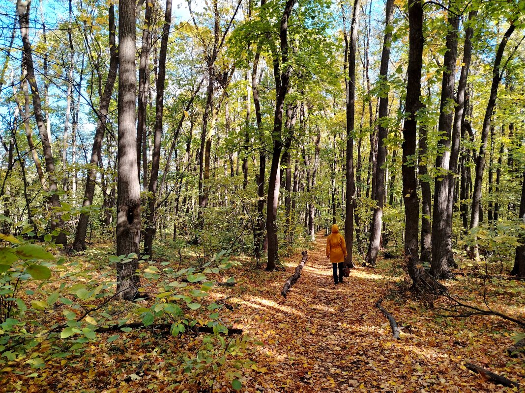 Осенний денек - Надежда Осенний денек - Надежда