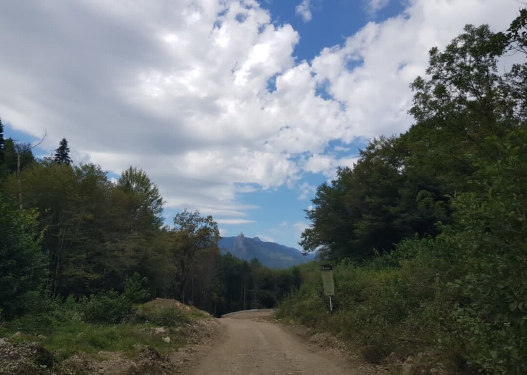 ГУАМСКОЕ УЩЕЛЬЕ - Tata Wolf