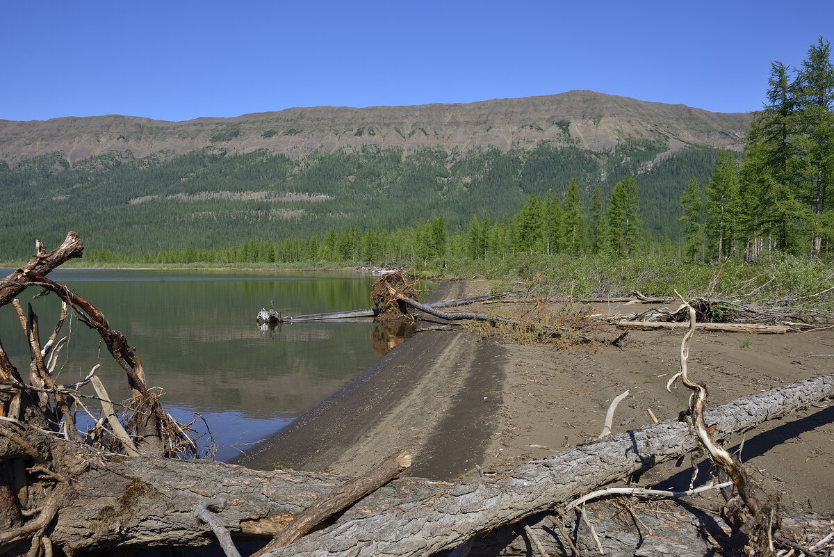 **** - Александр Хаецкий