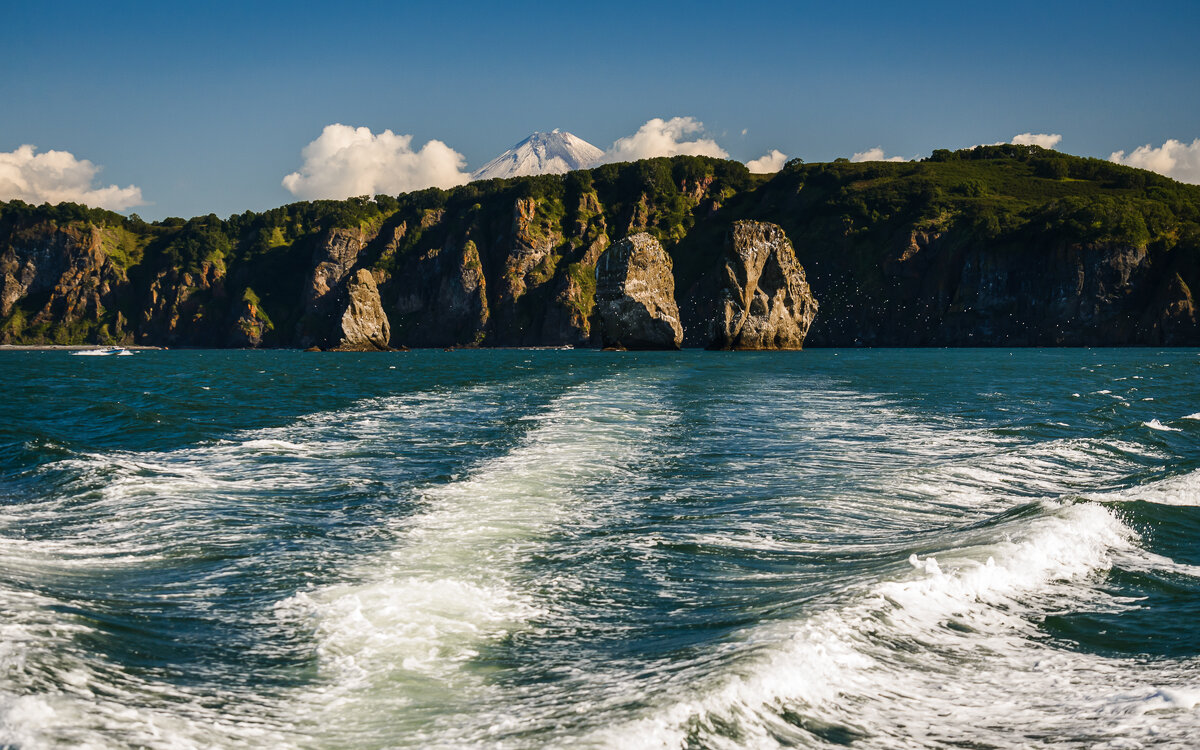 ... - Жора Житников